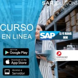 sap mm s4 hana sap mm s4 hana